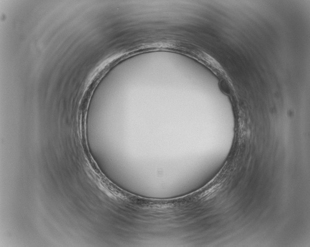 X0000052551035200507291910