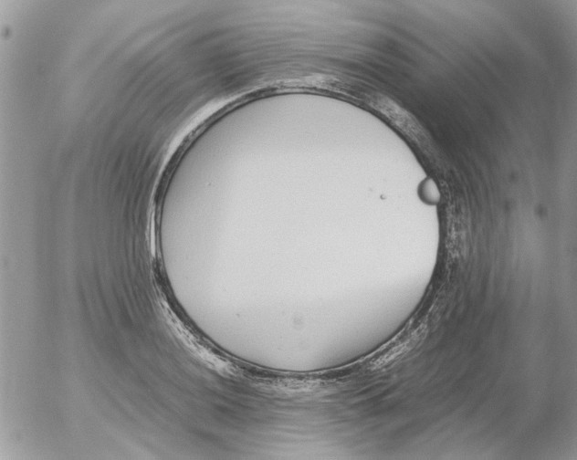 X0000052551036200507291910