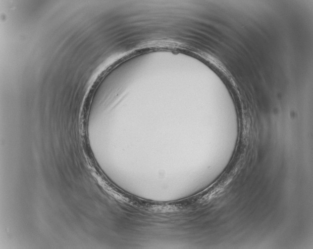 X0000052551037200507291910