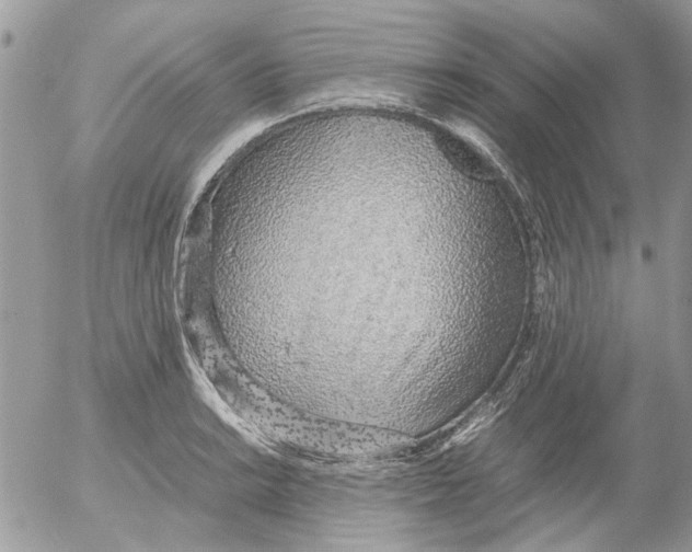 X0000052551038200507291910