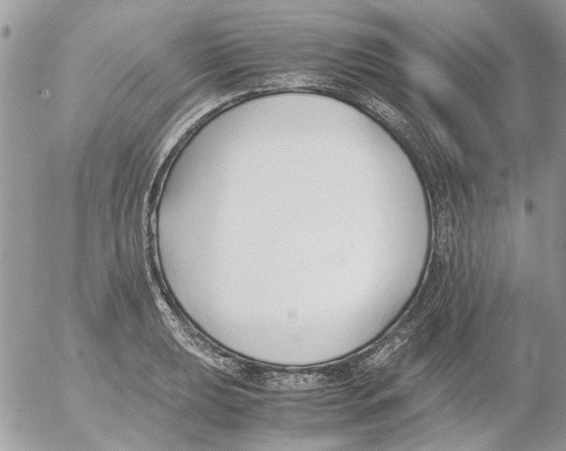 X0000052551039200507291910