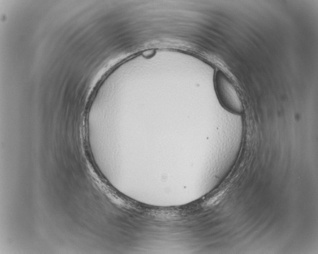 X0000052551040200507291910