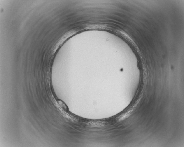 X0000052551041200507291910