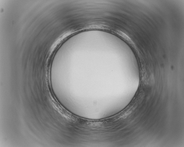 X0000052551043200507291911