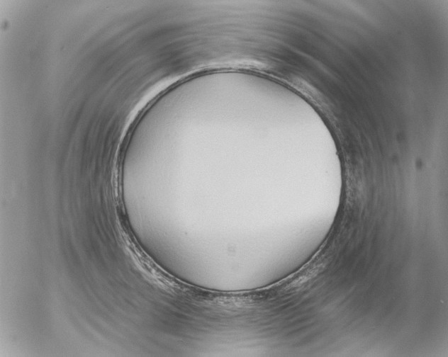 X0000052551044200507291911