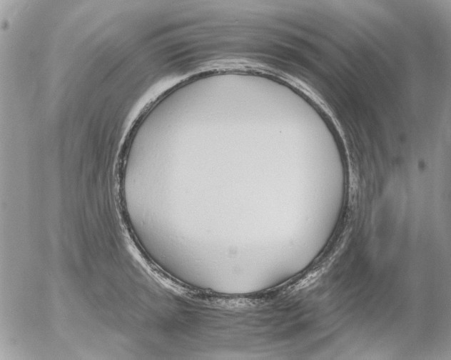 X0000052551045200507291911