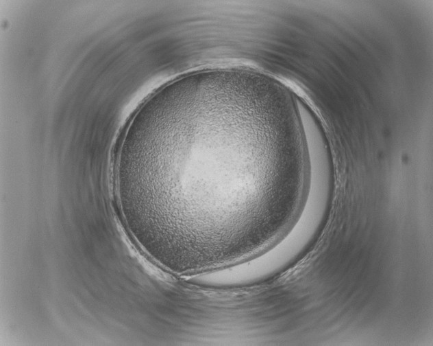 X0000052551046200507291911