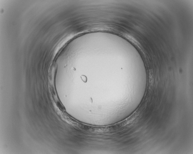 X0000052551047200507291911