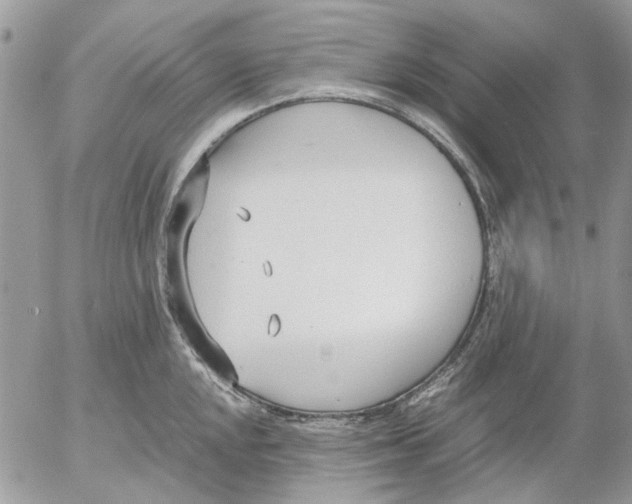 X0000052551048200507291911