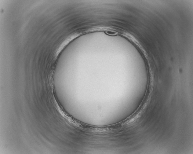 X0000052551049200507291911