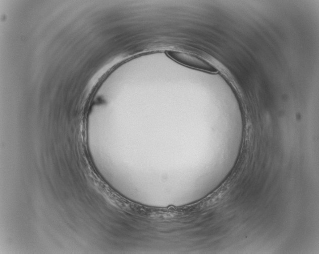 X0000052551051200507291911