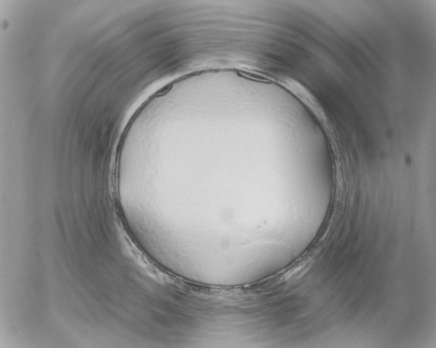 X0000052551052200507291911