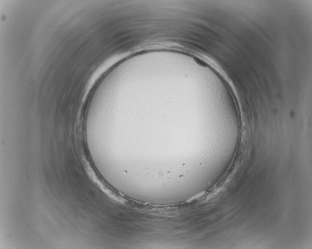 X0000052551053200507291911