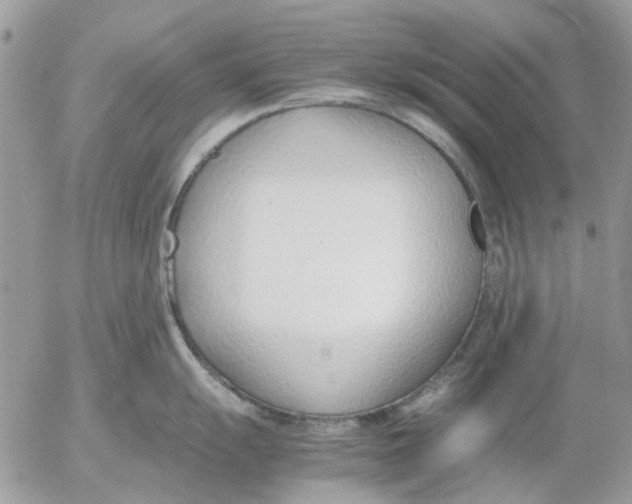 X0000052551055200507291911