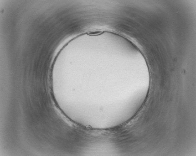 X0000052551056200507291911