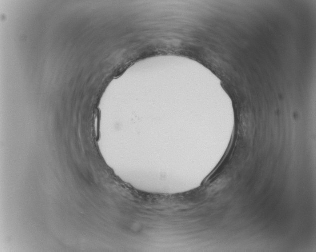 X0000052551057200507291910