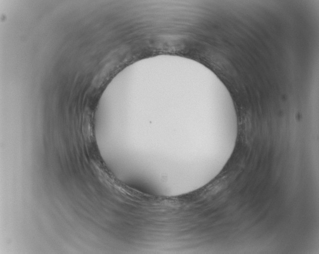 X0000052551058200507291910