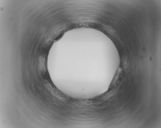 X0000052551060200507291910