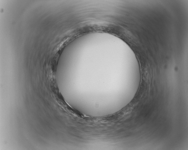 X0000052551061200507291910