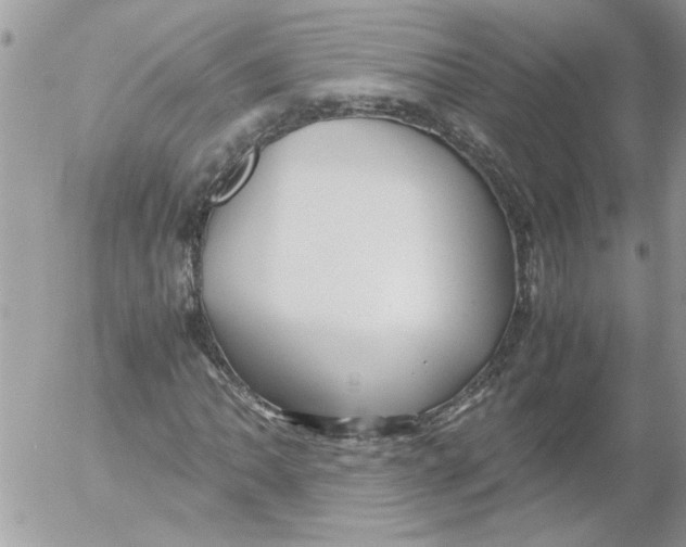 X0000052551062200507291910