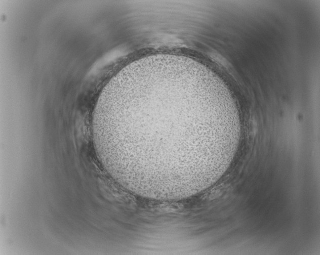 X0000052551063200507291910