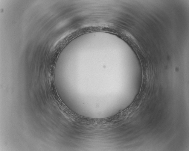 X0000052551064200507291910