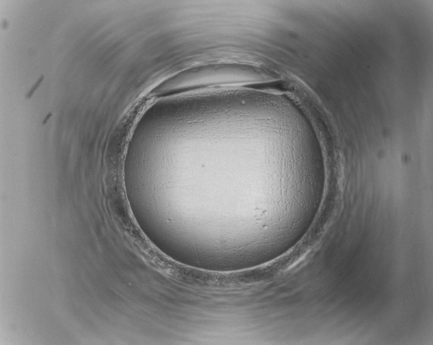 X0000052551065200507291910