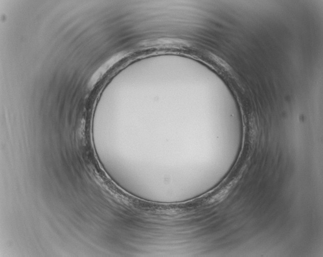 X0000052551066200507291910