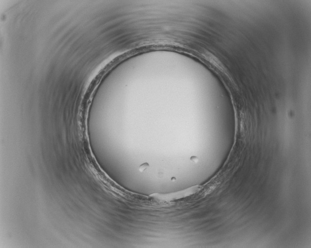 X0000052551068200507291910