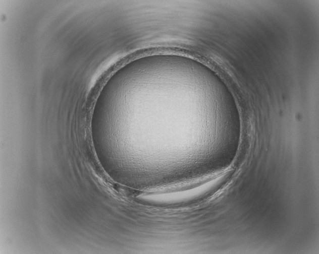 X0000052551069200507291910