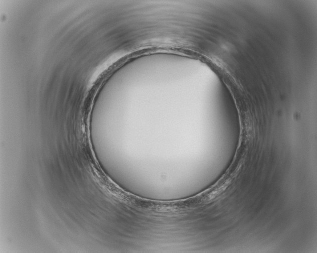 X0000052551070200507291910