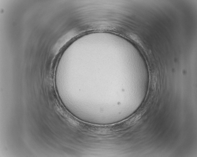 X0000052551071200507291910