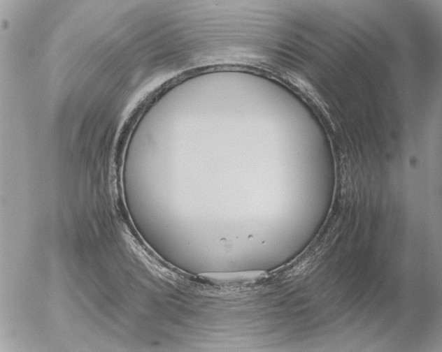 X0000052551072200507291910