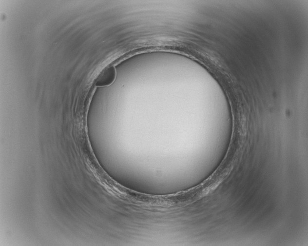 X0000052551073200507291910