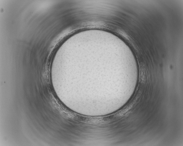 X0000052551074200507291910