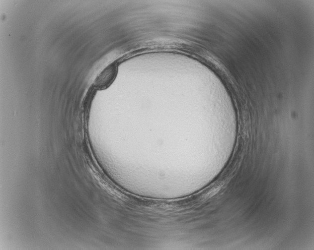 X0000052551075200507291910