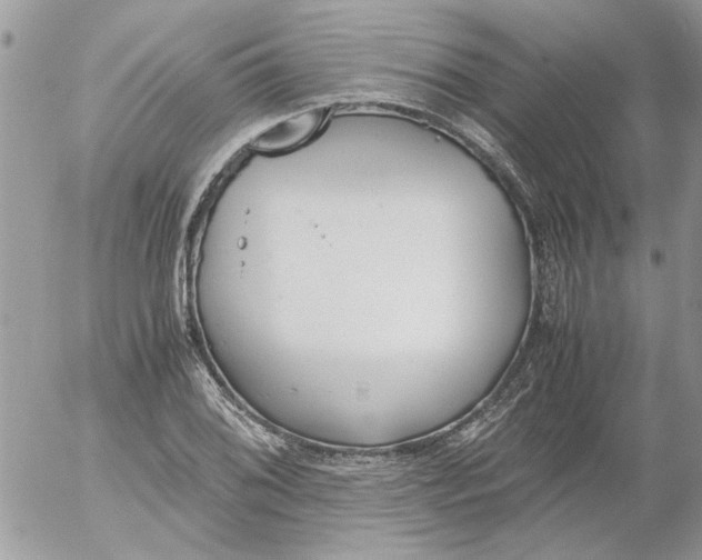 X0000052551076200507291910