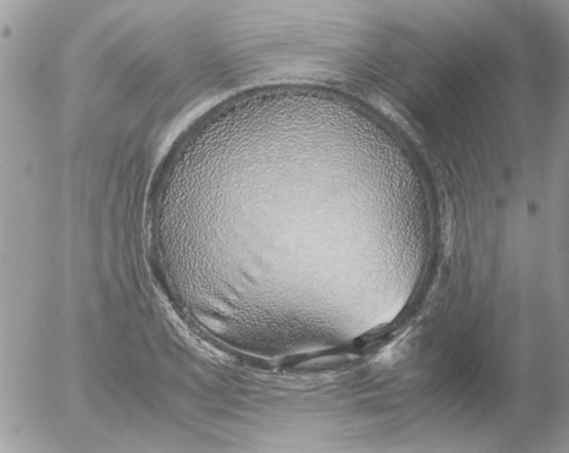 X0000052551077200507291910