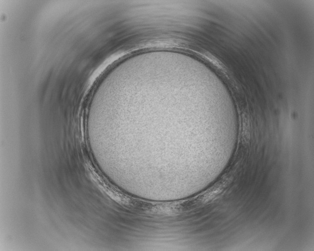 X0000052551078200507291910