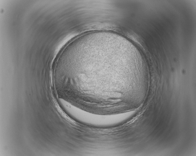 X0000052551079200507291910