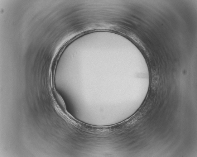 X0000052551080200507291910