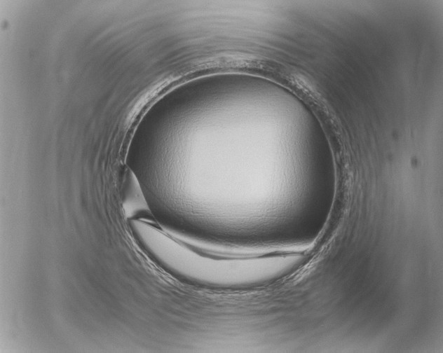 X0000052551081200507291910