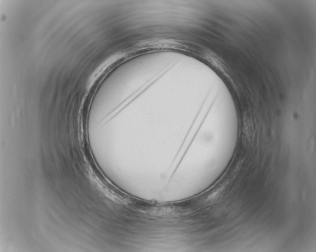 X0000052551082200507291910