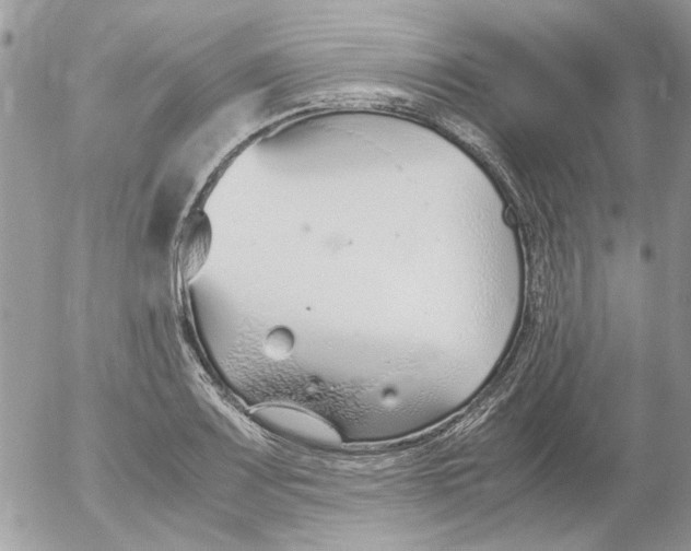 X0000052551083200507291909