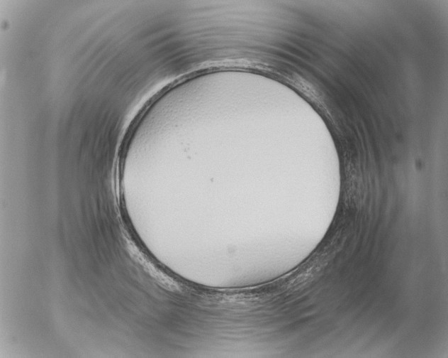 X0000052551084200507291909