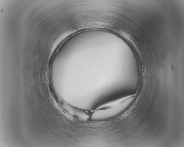 X0000052551085200507291909