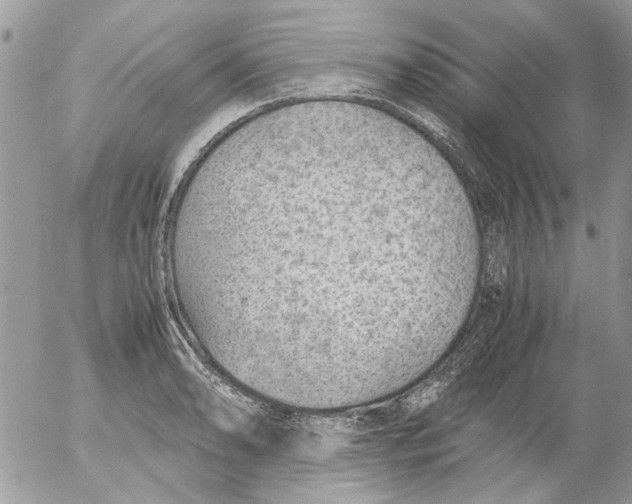 X0000052551086200507291909