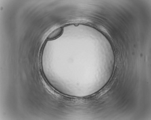 X0000052551087200507291909