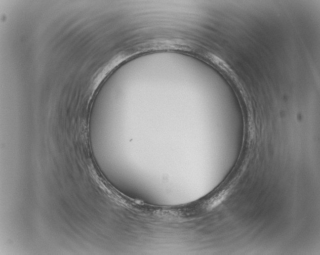 X0000052551089200507291909