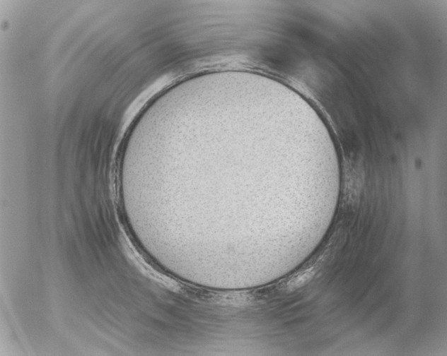 X0000052551090200507291909